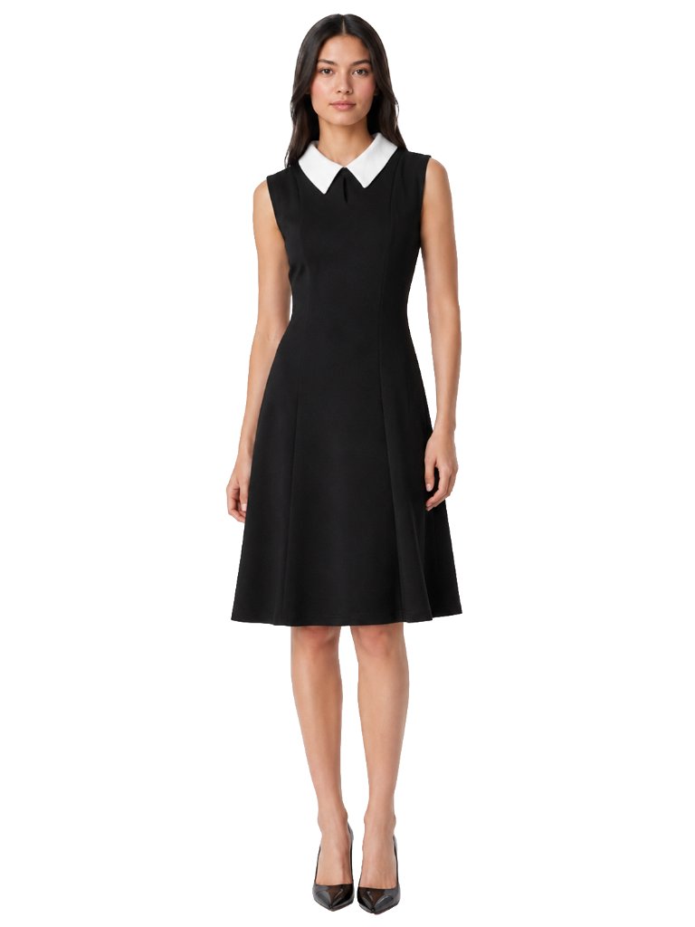 Northstyle Black Fit & Flare Dress White Collar Size 10 Wednesday Addams Chic